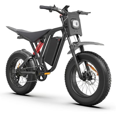 BLUVALL R700 Elektrische Off-Road Fiets, 52V 25Ah Batterij, Volledige Vering, zwart