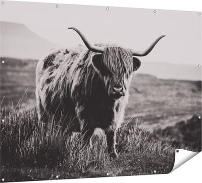 Gards Tuinposter Schotse Hooglander Koe - Zwart Wit - 160x120 cm - Tuindoek - Tuindecoratie - Wanddecoratie buiten - Tuinschilderij