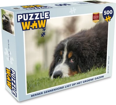 Puzzel Berner Sennenhond ligt op het groene gazon - Legpuzzel - Puzzel 500 stukjes