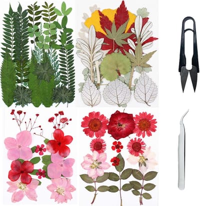 Gedroogde Bloemen Set - Natuurlijke Hars Bloemen - Hars Knutselen - 57 Gemengde Stukken - Inclusief Pincet - Groen Roze Rood