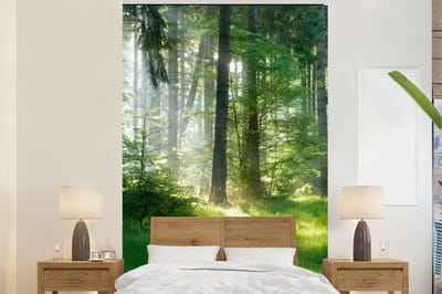 Behang - Fotobehang Natuur - Bomen - Bos - Groen - Zon - Gras - Planten - Breedte 200 cm x hoogte 300 cm