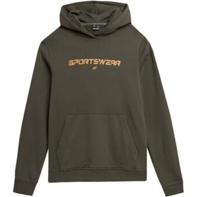 Capuchon sweaters 4F 4FAW23TSWSM077343S