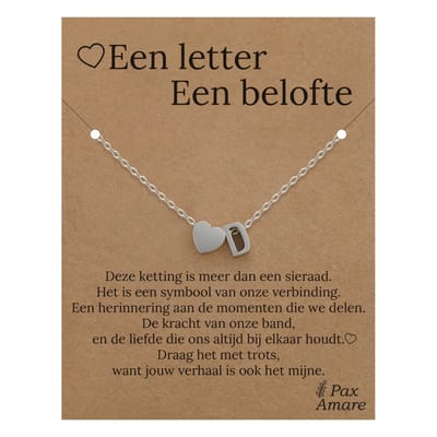 Letter D ketting op Cadeau Kaartje - Een letter, een belofte - 45cm Zilverkleurig Stainless Steel - Initiaal & Hartje Hanger - Pax Amare