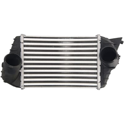 Intercooler THERMOTEC DAF009TT