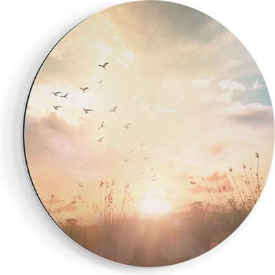 Artaza Dibond Muurcirkel Silhouet Vogels Tijdens Zonsopkomst - Ø 50 cm - Klein - Wandcirkel - Rond Schilderij - Voor Binnen en Buiten