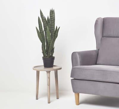 Homescapes kunstplant Sansevieria Trifasciata, booghennep in pot, groen, 74 cm hoog