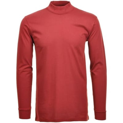 Ragman Long Sleeve Turtle T-Shirt Single Jersey Quality Dark Wine Red / male