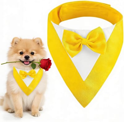 Hondenkostuum met Strikje, Hondenhalsband voor Trouwen, Feestjes en Verjaardagen voor Kleine Honden (Hals: 20-30cm, Geel) - Perfect voor Speciale Gelegenheden, Dierenaccessoires en Hondenmode