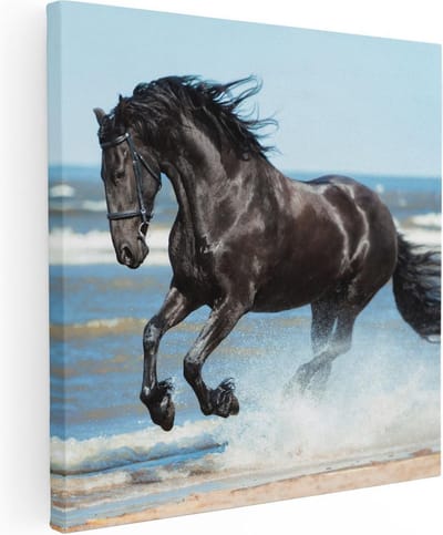 Artaza Canvas Schilderij Paard - 80x80 cm - Wanddecoratie Zee - Muurdecoratie Strand - Schilderijen Op Canvas Paarden