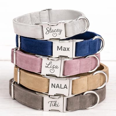 Honden Halsband Fluweel | Fluwelen Hondenhalsband | Velvet Elite Halsband | Halsband metalen sluiting graveren | Honden Halsband Wit | Maat M | Petshop Seven
