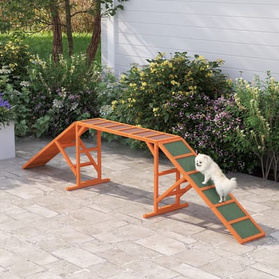 HAUSS SPOLE Loopplank – Antislip Met Veiligheidsstang – 325 x 55 x 69 cm – Weerbestendig Vurenhout – Oranje – Voor Agilitytraining Buiten