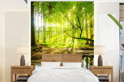 Behang - Fotobehang Bos - Landschap - Water - Bomen - Zon - Groen - Natuur - Breedte 195 cm x hoogte 260 cm