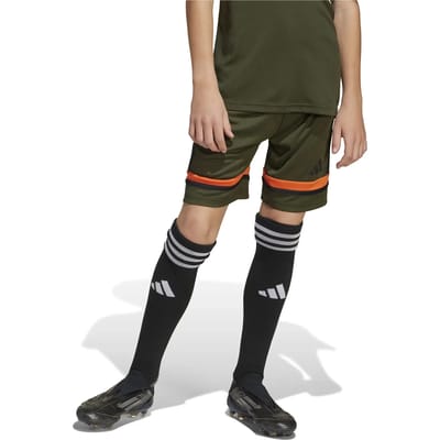 Adidas Squadra 25 Korte Broek Groen 5-6 Years Kinderen
