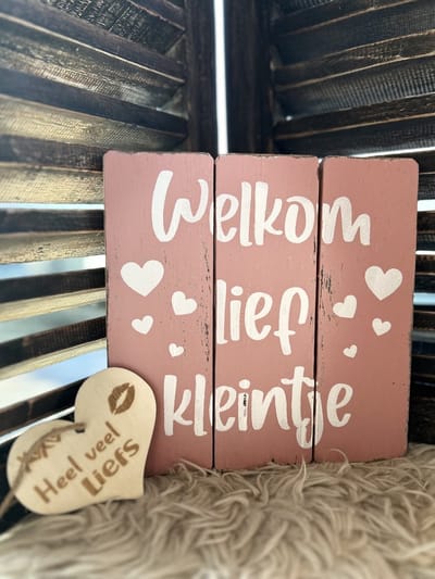 Creaties van Hier –Tekstbord welkom lief kleintje met hartje – baby Roze - 20 cm – Kraamcadeau - baby