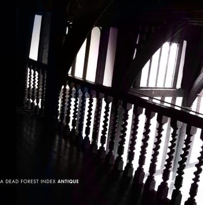 A Dead Forest Index - Antique (CD)