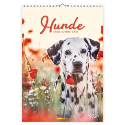 Honden Kalender 2024