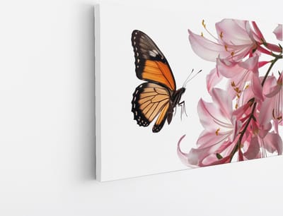 Saammp Canvas Schilderij - Vlinder op roze bloem - Landschap - Natuur - 45x30 - Foto op canvas - Wanddecoratie - Muurdecoratie Woonkamer - Slaapkamer decoratie - Canvas Print