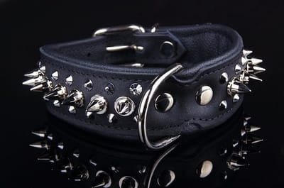 Dog's Companion Leren Halsband - met Spikes - Lengte: 45cm Verstelbaar van: 32-41 cm x 40 mm - Zwart