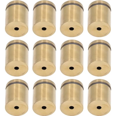 12 Stuks Afstandsschroeven Roestvrij Staal Wandmontage Reclamehouder Nagel Bevestigingspin 25x30mm