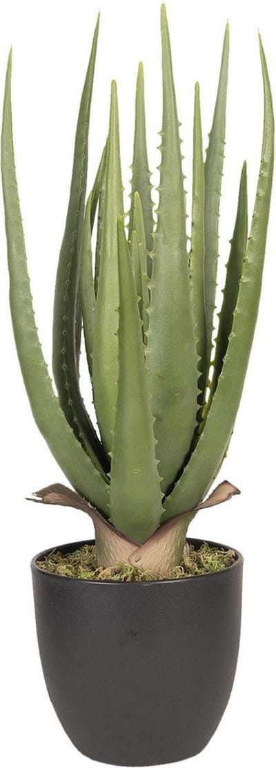 Clayre & Eef Kunstplant 14*14*46 cm Groen kunststof / foam Kunstbloem