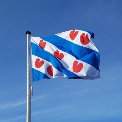 Friese - Vlag - Vlag van Friesland - Friese vlag - Friese Gemeenschaps Vlag - Provincie Friesland - 90/150CM - Fries - Fryslan - Frys - Zonder stok