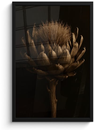 Poster in lijst - Fotolijst 40x60 cm - Posters - Donkerbruin - Bloem - Textuur - Artisjok - Posterlijst zwart - Decoratie - Wanddecoratie woonkamer - Muurdecoratie slaapkamer
