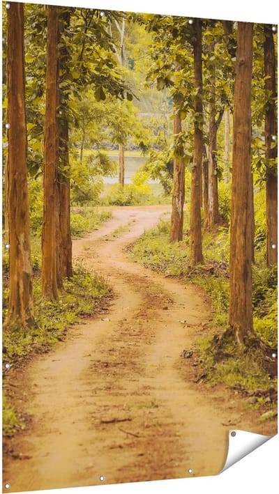 Gards Tuinposter Pad in het Bos met Bomen - 120x180 cm - Tuindoek - Tuindecoratie - Wanddecoratie buiten - Tuinschilderij