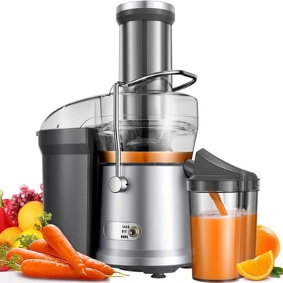 RONN® Sapcentrifuges groenten en fruit - Sapcentrifuges - Slowjuicer - Zilver - ‎10cm x 42cm x 30cm