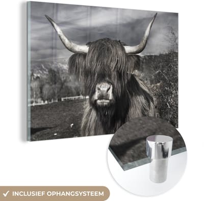 MuchoWow® Glasschilderij 150x100 cm - Schilderij acrylglas - Schotse Hooglander - Dieren - Hoorns - Foto op glas - Schilderijen