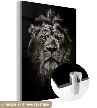 MuchoWow® Glasschilderij 30x40 cm - Schilderij acrylglas - Dieren - Zwart - Wit - Portret - Foto op glas - Schilderijen
