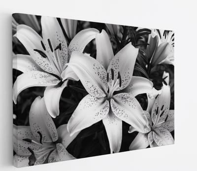 Saammp Canvas Schilderij - Bloemen - Witte Lelies - Natuur - Abstract - 45x30 - Foto op canvas - Wanddecoratie - Muurdecoratie Woonkamer - Kantoor Decoratie