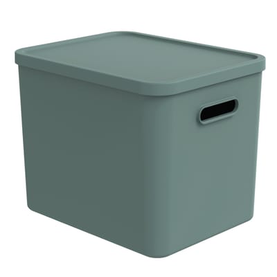 Rotho ALBULA Multibox 29.5x29x37 cm 27L Mistletoe Groen