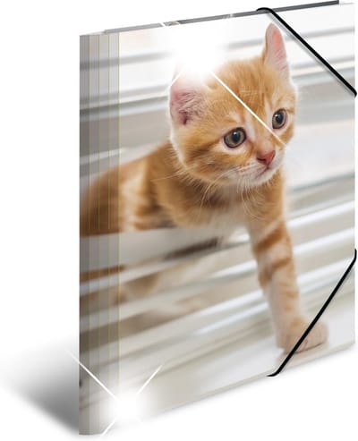HERMA Elasticated folder glossy Dieren A4 PP Katten