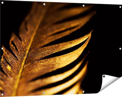 Gards Tuinposter Gouden Veer - 120x80 cm - Tuindoek - Tuindecoratie - Wanddecoratie buiten - Tuinschilderij