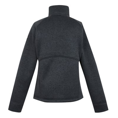 Regatta Dames/Dames Emilide Full Zip Fleecejack (Afdichting Grijs)