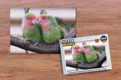 Puzzel Verliefde dwergpapegaaien op een stok - Legpuzzel - Puzzel 500 stukjes