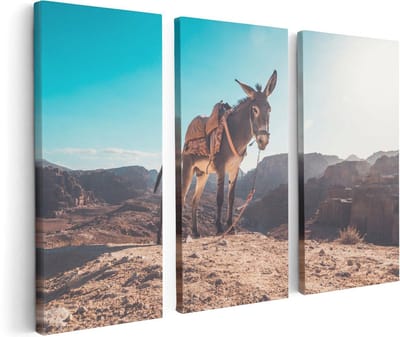 Artaza Canvas Schilderij Drieluik Ezel In De Woestijn Met Helder Blauw Lucht - 120x80 - Foto Op Canvas - Canvas Print