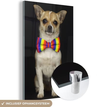 MuchoWow® Glasschilderij 120x180 cm - Schilderij acrylglas - Hond - Strik - Zwart - Foto op glas - Schilderijen