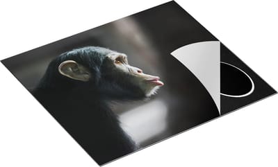 Chefcare Inductie Beschermer Verbaasde Aap vanaf de Zijkant - 60x50 cm - Afdekplaat Inductie - Kookplaat Beschermer - Inductie Mat