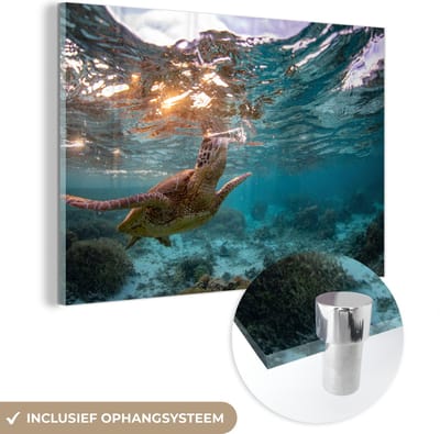 MuchoWow® Glasschilderij 120x80 cm - Schilderij acrylglas - Zee - Schildpad - Kleuren - Foto op glas - Muurdecoratie woonkamer - Wanddecoratie slaapkamer - Schilderijen