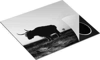 Chefcare Inductie Beschermer Twee Schotse Hooglanders op het Strand - Zwart Wit - 60x50 cm - Afdekplaat Inductie - Kookplaat Beschermer - Inductie Mat
