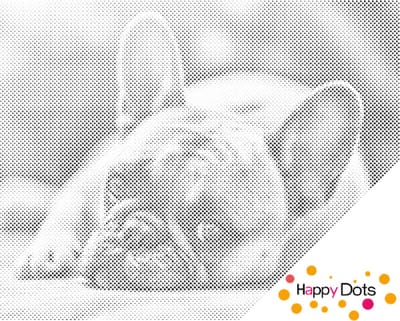 HappyDots DOT Painting Bulldog 30x40cm - Stippelschilderij