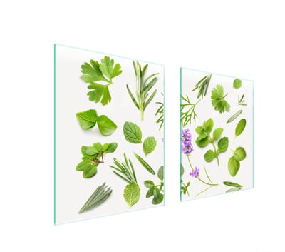 TMK ArtDeko - Serie - Glazen Beschermplaat - 85x52 cm - Getemperd Glas - Vegetatie Design