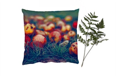 Sierkussens - Kussentjes Woonkamer - 40x40 cm - Landelijke decoratie - Herfst - Appel - Fruit