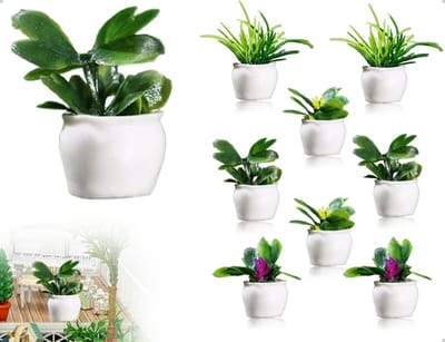 Miniatuurplanten voor Poppenhuis - Bonsai, Potplanten en Decoratie voor Fotografie en Handgemaakt Gebruik