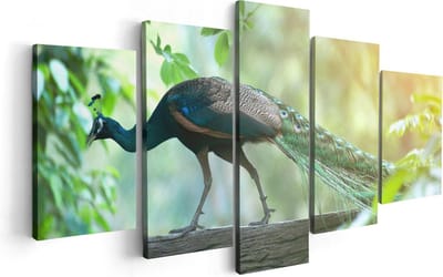 Artaza Canvas Schilderij Vijfluik Pauw Loopt Op Een Tak In De Natuur - 100x50 - Foto Op Canvas - Canvas Print