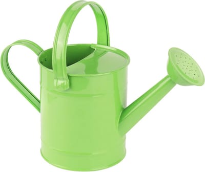 Metalen gieter pot - 15 L - voor kinderen - tuingieter sproeier - ijzeren gieter - binnen buiten kantoor tuinplant gieter - groen