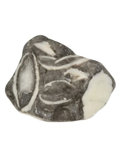 Jaspis schelp ruw - Mosselsteen 400 gram