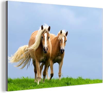 Wanddecoratie Metaal - Aluminium Schilderij Industrieel - Paarden - Gras - Lucht - 60x40 cm - Dibond - Foto op aluminium - Industriële muurdecoratie - Voor de woonkamer/slaapkamer