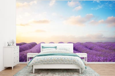 Behang - Fotobehang Lavendel - Lucht - Wolken - Bloemen - Breedte 375 cm x hoogte 280 cm